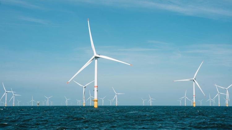 Offshore Wind Energy Co-Design Toolkit
